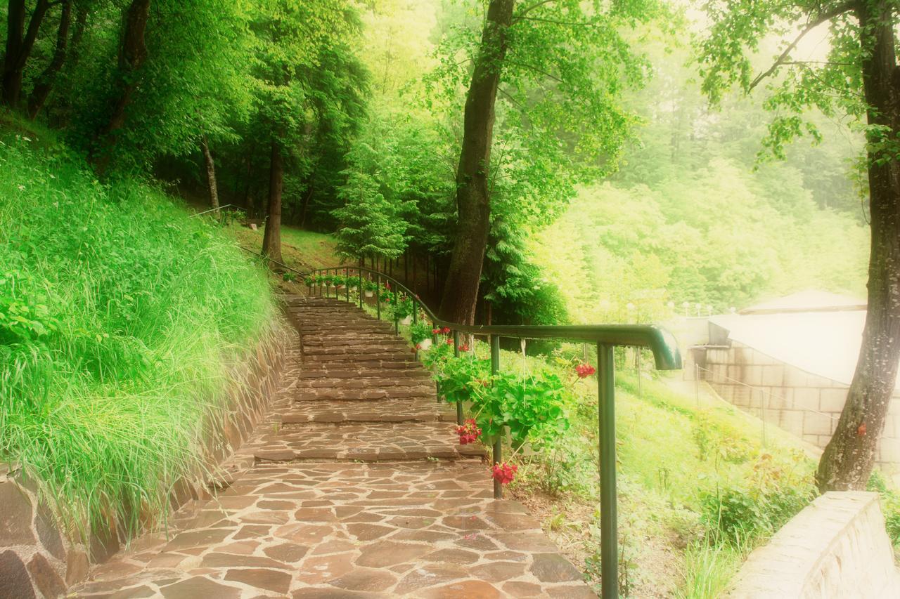 Hotel Nemira Slanic-Moldova Bagian luar foto